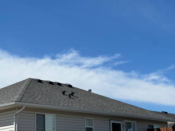 Best Solar Panel Roofing Installation  in Enon, OH